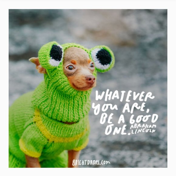 Together We Posh - Picture 3 of 3